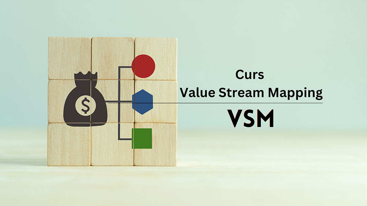 Curs Value Stream Mapping - VSM