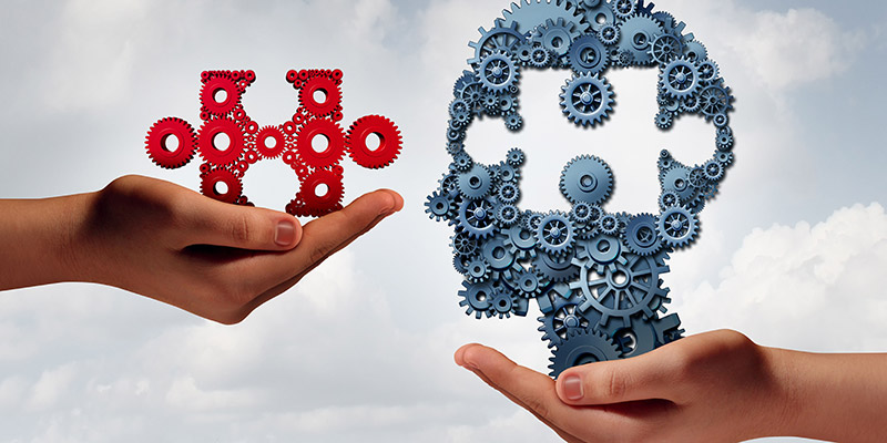 Cursuri de Formare a Echipei și Coaching Tehnic