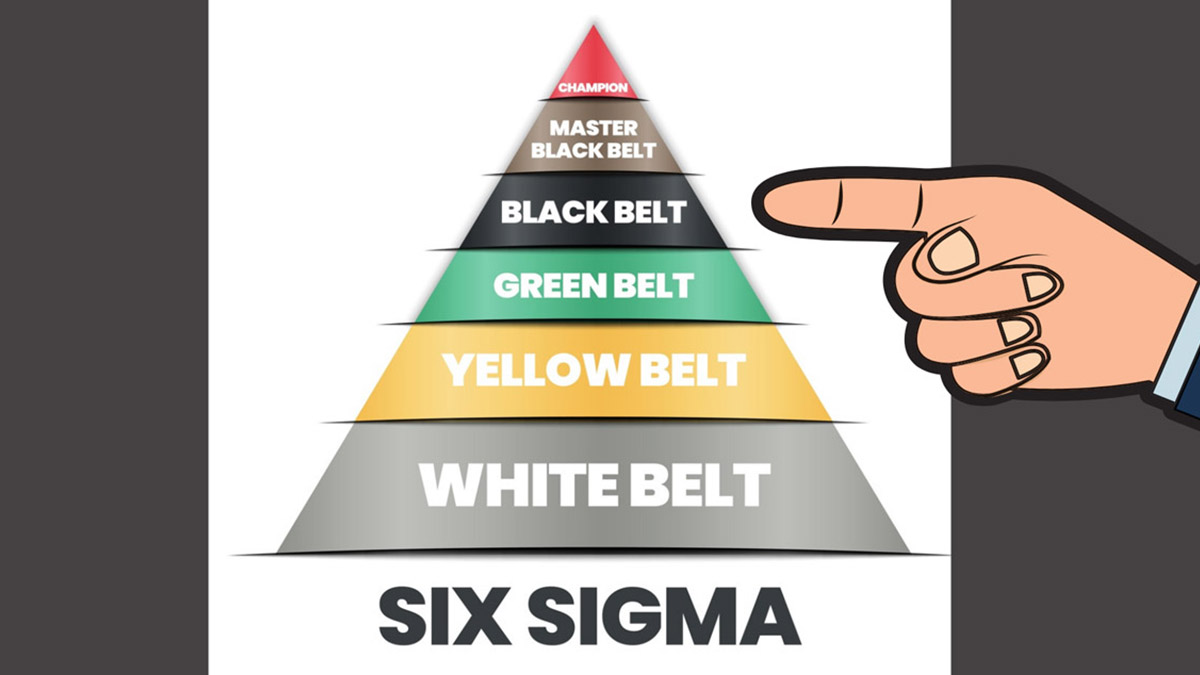Curs Lean Six Sigma Black Belt